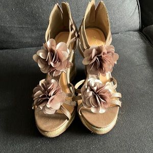 Brown and Teal Wedge